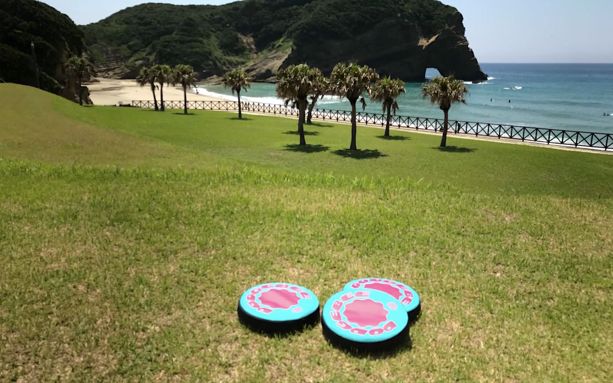 种子岛岩崎大酒店　飞盘